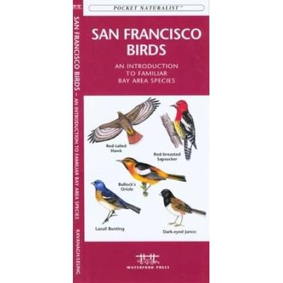 Seattle Birds A Folding Pocket Guide to Familiar S...