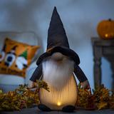 The Holiday Aisle® Plush Halloween Witch Lantern | 20.08 H x 6.3 W x 10.24 D in | Wayfair 449CC4861B9A4416BB6E360F9749618B