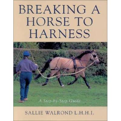 Breaking A Horse To Harness A Stepbystep Guide