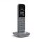 Gigaset CL390HX IP-Telefon Grau TFT