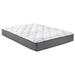 Twin 10" Hybrid Mattress - Crafted Sleep | 80 H x 60 W 10 D in Wayfair XCH2510BXQ