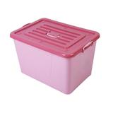 Umber Rea Plastic Box Plastic in Pink | 9.44 H x 16.73 W x 11.41 D in | Wayfair 05CCY1223IAFRZIHIVVV