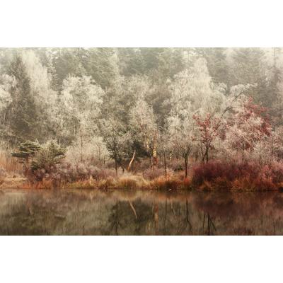 Fototapete PAPERMOON "Photo-Art ANTON VAN DONGEN, GEFROREN", bunt, B:4,50m L:2,80m, Vlies, Tapeten