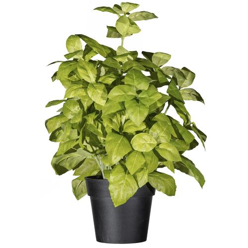 „Kunstpflanze CREATIV GREEN „“Basilikumbusch““ Kunstpflanzen Gr. H: 30 cm, 1 St., grün Künstliche Zimmerpflanzen“