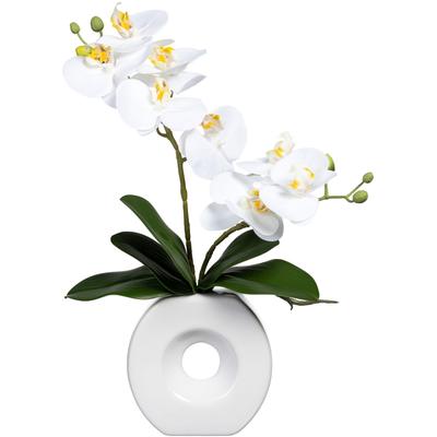 Kunstorchidee CREATIV GREEN "Phalaenopsis", weiß, H:35cm, Kunststoff, Kunstpflanzen, in Keramikvase