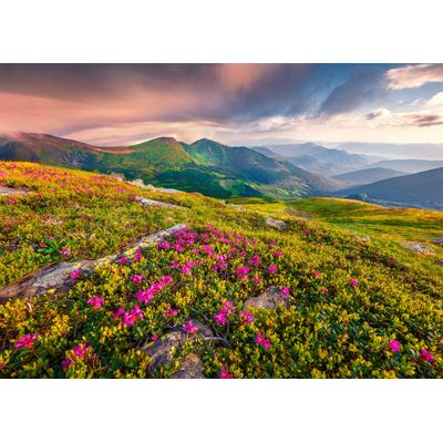 Fototapete PAPERMOON "BLUMEN-NATUR LANDSCHAFT BERGE GEBIRGE ALPEN LAVENDEL", bunt, B:4,00m L:2,60m, Vlies, Tapeten