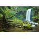 PAPERMOON Fototapete "Wasserfall im Wald" Tapeten Gr. B/L: 4,50 m x 2,80 m, Bahnen: 9 St., bunt Fototapeten