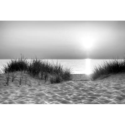 Fototapete PAPERMOON "Strand Schwarz & Weiß", schwarz (schwarz, weiß), B:5,00m L:2,80m, Vlies, Tapeten Image