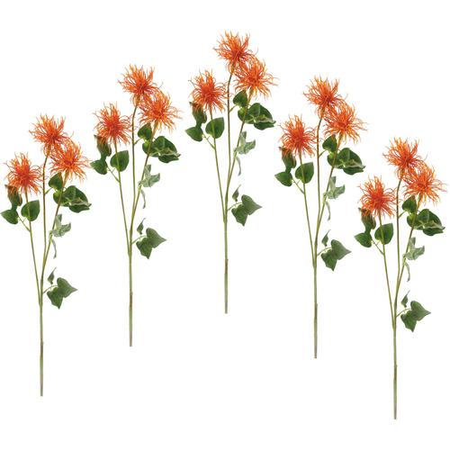 "Kunstblume I.GE.A. ""Spinnenprotea"" Kunstpflanzen Gr. B/H: 16 cm x 78 cm, orange Kunstpflanzen 5er Set"