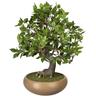 "Kunstbonsai CREATIV GREEN ""Bonsai Ficus"" Kunstpflanzen Gr. Ø/H: 40 cm x 50 cm, 1 St., grün Kunst-Bonsai"