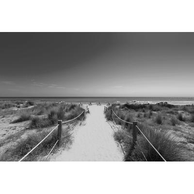 Fototapete PAPERMOON "Strand Schwarz & Weiß", schwarz (schwarz, weiß), B:5,00m L:2,80m, Vlies, Tapeten Image