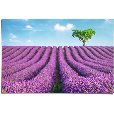 Poster REINDERS "Lavendel Felder", lila (farbe bild(er): lila), B:91,5cm H:61cm, Papier, Bilder Image