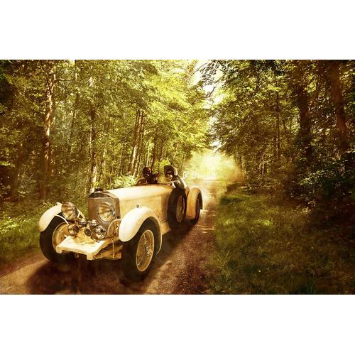 „PAPERMOON Fototapete „“Oldtimer in wald““ Tapeten Gr. B/L: 3,50 m x 2,60 m, Bahnen: 7 St., bunt Fototapeten“