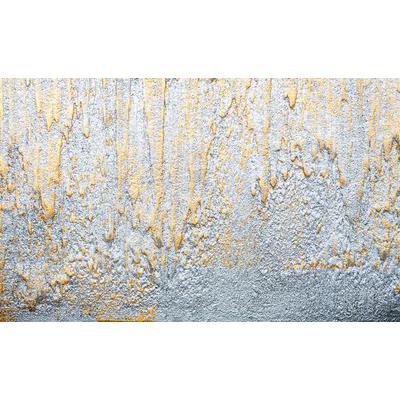 CONSALNET Vliestapete "Goldene Kleckse" Tapeten Gr. B/L: 1,53 m x 1,04 m, grau Tapeten