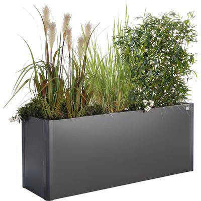 Hochbeet BIOHORT "Belvedere", grau (dunkelgrau, metallic), B:152cm H:77cm T:53cm, Stahlblech, Pflanzgefäße, BxTxH: 152x53x77 cm
