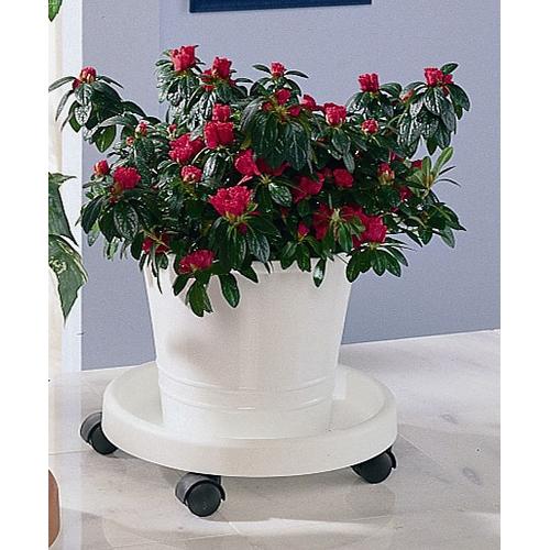 Blumentopfuntersetzer RUCO Untersetzer weiß Blumentöpfe -kästen Kunststoff, Ø 34 cm