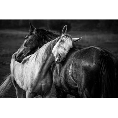 Fototapete PAPERMOON "Photo-Art NIKO CHAPA, WARMER REGEN", bunt, B:5,00m L:2,80m, Vlies, Tapeten