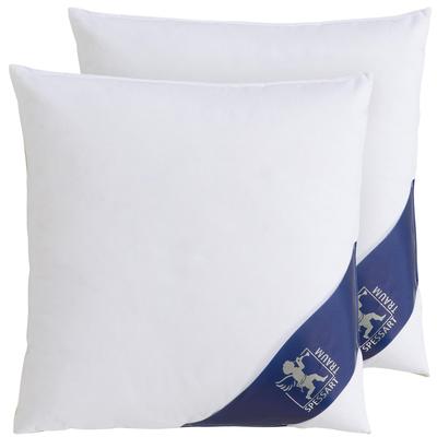 Gänsedaunenkopfkissen SPESSARTTRAUM "Premium", weiß, B:40cm L:40cm, Bezug: 100% Baumwolle. Füllung: 90% Gänsedaunen, 10% Gänsefeder, Kopfkissen, hergestellt in Deutschland, allergikerfreundlich, im Set günstiger Image