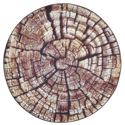 Teppich GINO FALCONE "Aurora GF-095", braun, H:5mm Ø:100cm, Polypropylen, Teppiche, Holz Optik, ideal im Wohnzimmer & Schlafzimmer Image
