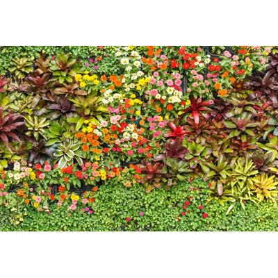 Fototapete PAPERMOON "BLUMEN-ABSTRAKT MUSTER GARTEN PFLANZEN DEKOR NATUR", bunt, B:5,00m L:2,80m, Vlies, Tapeten Image