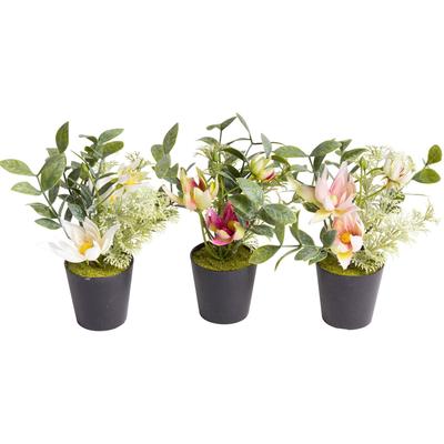 Künstliche Zimmerpflanze BOTANIC-HAUS "Christrosen-Arrangement im schwarzen Kunststofftopf", orange, B:13cm H:18cm T:13cm Ø:13cm, Kunststoff, Kunstpflanzen Image