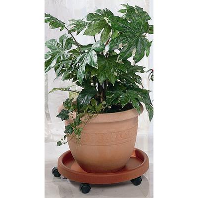 Blumentopfuntersetzer RUCO, orange (terrakotta), H:9cm Ø:34cm, Kunststoff, Untersetzer, Kunststoff, Ø 34 cm
