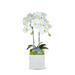 T&C Floral Company Orchid in Vase Plastic | 24 H x 5 W x 5 D in | Wayfair F2179WWB