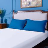 Eider & Ivory™ Bottone 2 Pack Pillowcases Microfiber/Polyester in Blue | King | Wayfair EE782022D5CC417886E2BBDB83E2861E