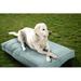 Tucker Murphy Pet™ IndoorOutdoor Sunbrella Dog Bed Polyester in White | 3 H x 26 W x 18 D in | Wayfair D7CC647D2A7546F4B624B2FAF063F015