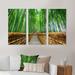 Loon Peak® Path To Bamboo Forest - Landscape Framed Canvas Wall Art Set of 3 Canvas in White | 20 H x 36 W x 1 D in | Wayfair