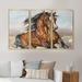 Foundry Select Portrait of a Horse in the Race - Farmhouse Framed Canvas Wall Art Set Of 3 Canvas, Wood in White | 20 H x 36 W x 1 D in | Wayfair