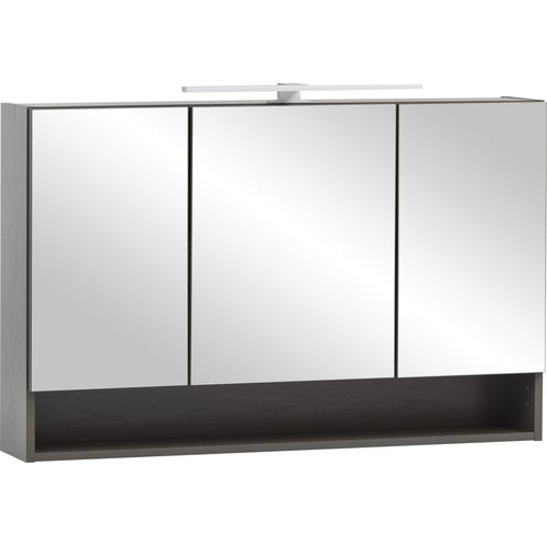 HELD MÖBEL Spiegelschrank, Breite 100 cm grau Spiegelschrank Spiegelschränke Badmöbel