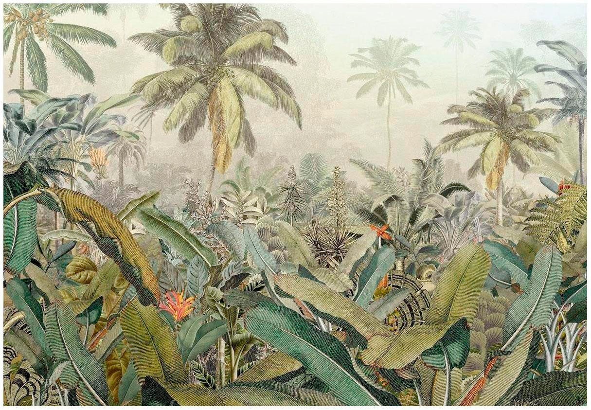 Vliestapete KOMAR "Vlies - Amazonia - Größe 368 x 248 cm", blau, B:368m L:248m, Vlies, Tapeten, Wohnzimmer, Schlafzimmer Image