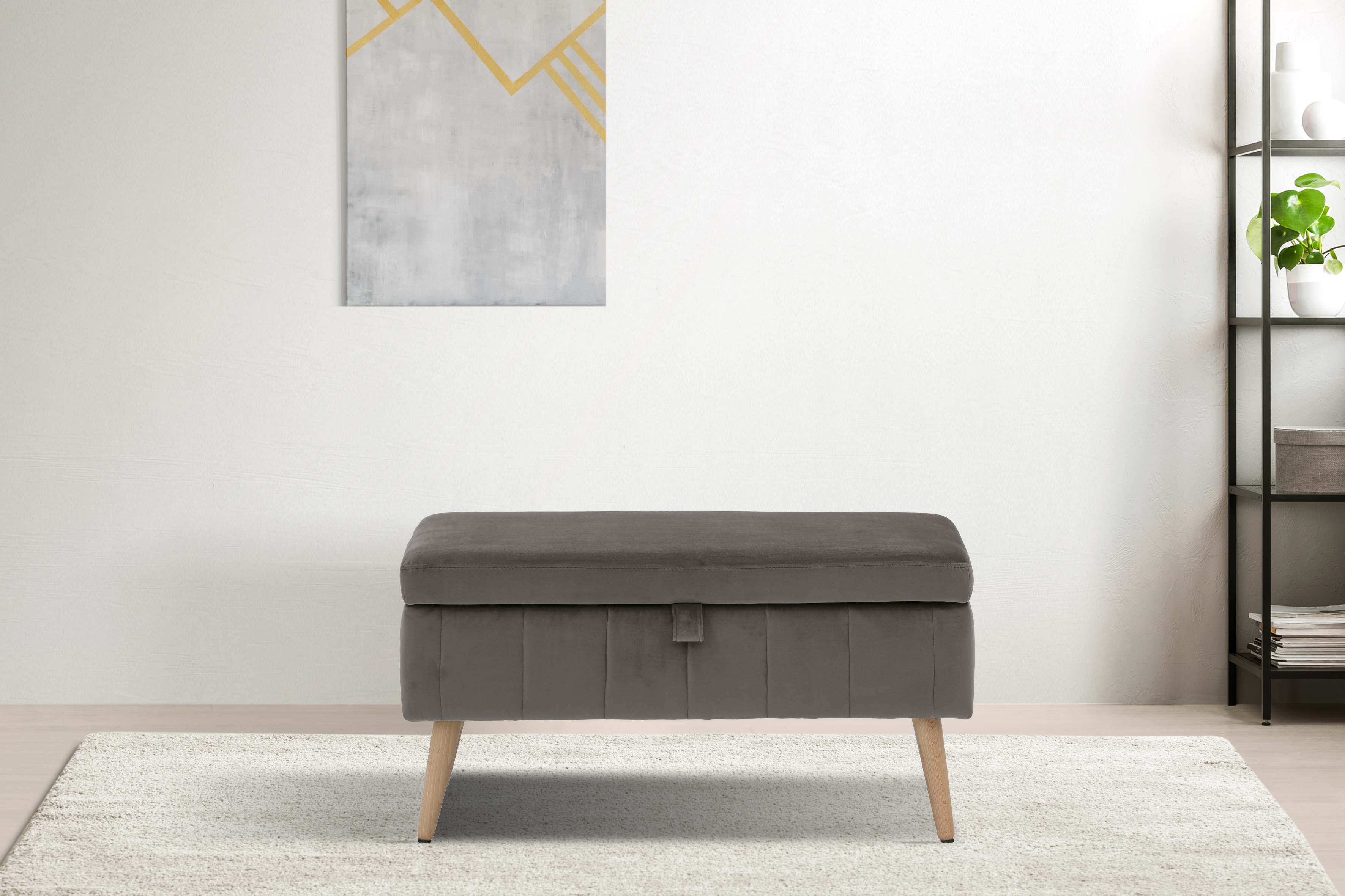 Truhenbank INOSIGN "AMIRA Sitzbank mit Stauraum, Maße B/T/H: 81/36/43 cm", grau, B:81cm H:43cm T:36cm, Struktur fein (100% Polyester);Samtvelours (100% Polyester);Luxus-Microfaser weich (100% Polyester), Sitzbänke, mit Staufach, in 3...