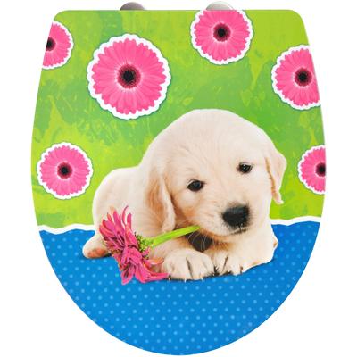 WC-Sitz ADOB "Puppy", bunt (bunt, grau), B:38,5cm H:4,2cm L:45cm, Duroplast, Edelstahl, WC-Sitze, Absenkautomatik, zur R