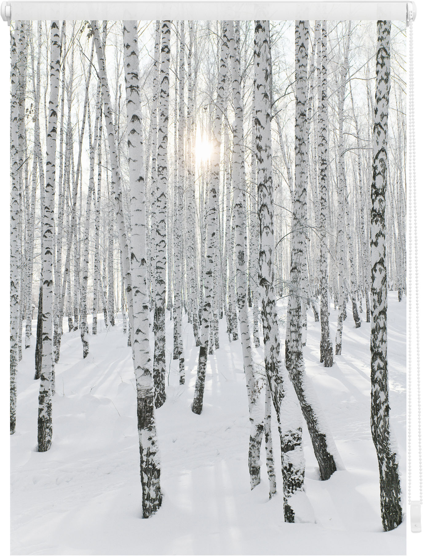 Seitenzugrollo LICHTBLICK ORIGINAL "Klemmfix Motiv Birkenwald" Gr. 2, weiß (weiß, weiß), B:60cm H:150cm, Polyester, Rollos, bedruckt Image