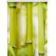 Seitenzugrollo LICHTBLICK ORIGINAL "Klemmfix Motiv Bambus" Rollos Gr. 150 cm, 90 cm, grün (grün, weiß) Rollos ohne Bohren
