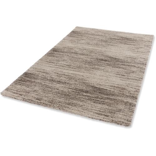 "Teppich ASTRA ""Savona 201"" Teppiche Gr. B/L: 160 cm x 230 cm, 20 mm, 1 St., beige Esszimmerteppiche"