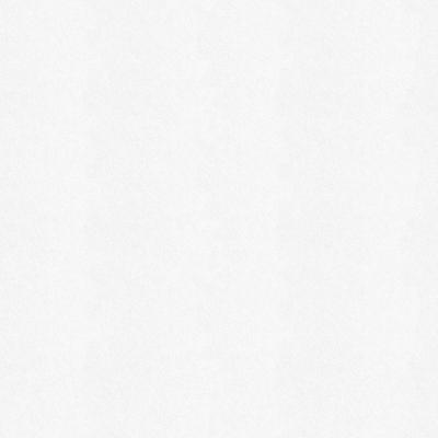 Isoliertapete WALL DOCTOR "Wall Doctor Renovliestapete Weiss 25mx1m (180g/m2)", weiß, B:100m L:2500m, Vlies, Tapeten, Wall doctor Renovliestapete Weiss 25mx1m (180g/m2) Image