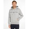 Kapuzensweatshirt TOMMY HILFIGER "TOMMY LOGO HOODY", Herren, Gr. M (48/50), grau (cloud htr), Obermaterial: 72% Baumwolle, 28% Polyester, casual, Basic schmal, Langarm Rippbündchen, Sweatshirts
