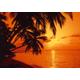 PAPERMOON Fototapete "Tropic Sunset" Tapeten Gr. B/L: 3 m x 2,23 m, Bahnen: 6 St., bunt (mehrfarbig) Fototapeten