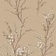 LAURA ASHLEY Vliestapete "Pussy Willow" Tapeten Gr. B/L: 0,52 m x 10 m, Rollen: 1 St., beige (natur) Blumentapeten
