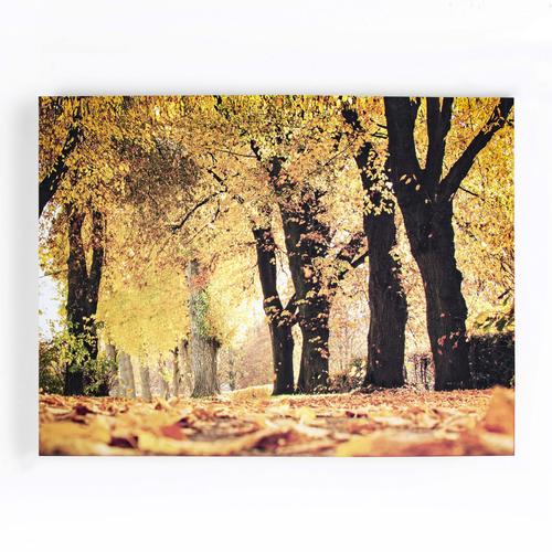 „Leinwandbild ART FOR THE HOME „“Art for the Home Herbst – 100x75cm““ Bilder Gr. B/H/T: 100 cm x 70 cm x 2,5 cm, Leinwandbild Bäume, 1 St., bunt Leinwandbilder“