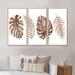 Bay Isle Home™ Tropical Monstera & Palm Leaf In Terracotta - 3 Piece Floater Frame Painting on Canvas Metal in Brown/Green/White | Wayfair