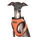 Orange Step-In Soft Vest Dog Harness Pro, X-Large