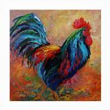 Rosalind Wheeler Albalat Mr T Rooster Outdoor Wall Decor All-Weather Canvas, Wood | 14 H x 14 W x 1.5 D in | Wayfair