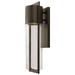 Shelter 20 1/2" High Buckeye Bronze LED Outdoor Wall Light