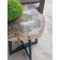 Tommy Bahama Outdoor Alfresco Living Petrified Wood Table Stone/Concrete/Metal in Gray/White | 23 H x 22 W x 22 D in | Wayfair 3100-203C