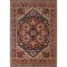 Traditional Vegetable Dye Heriz Serapi Area Rug Handmade Wool Carpet - 7'11" x 9'11"