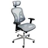 Silver Gray Trendflex Ergonomic Chair